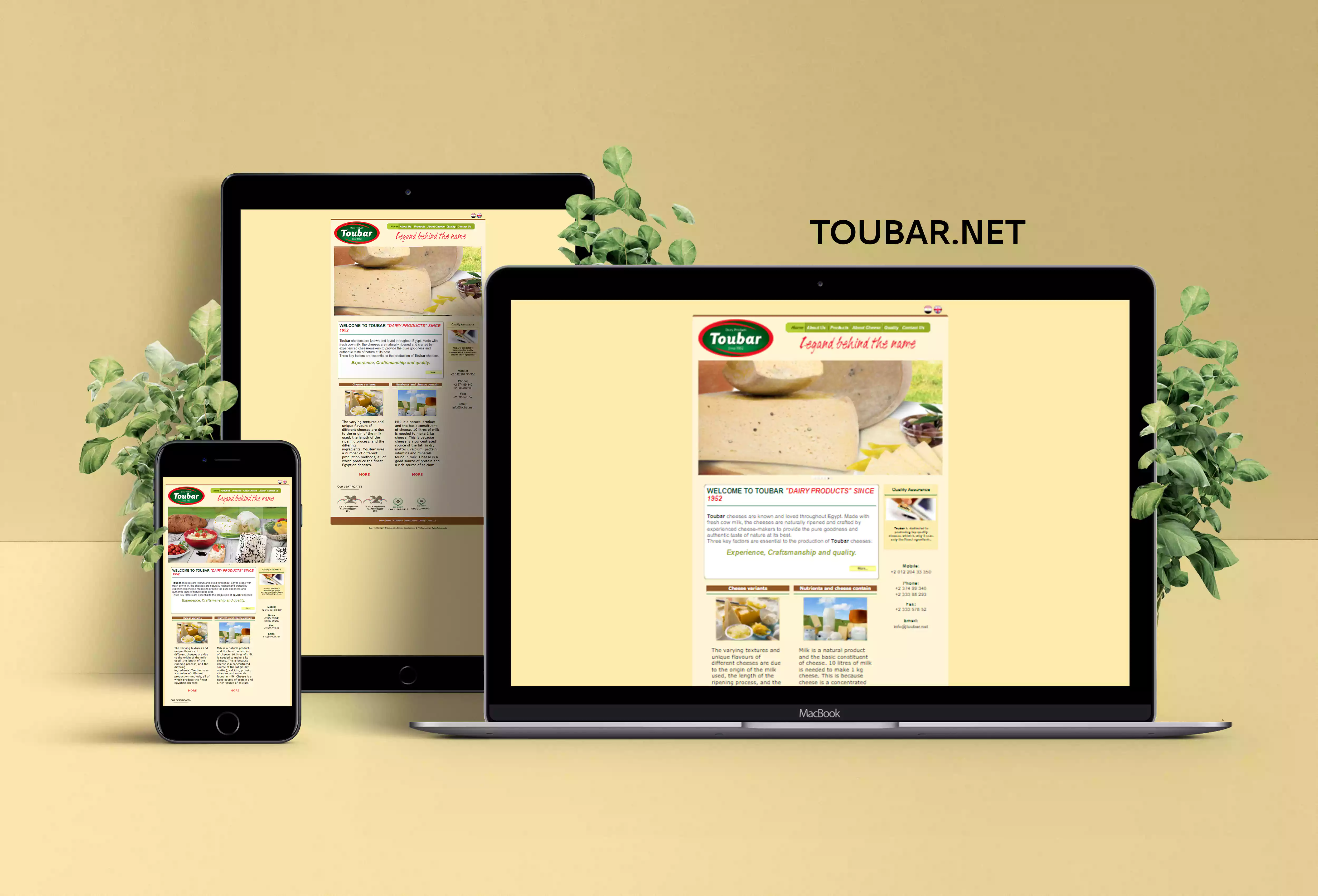 Toubar website design and development